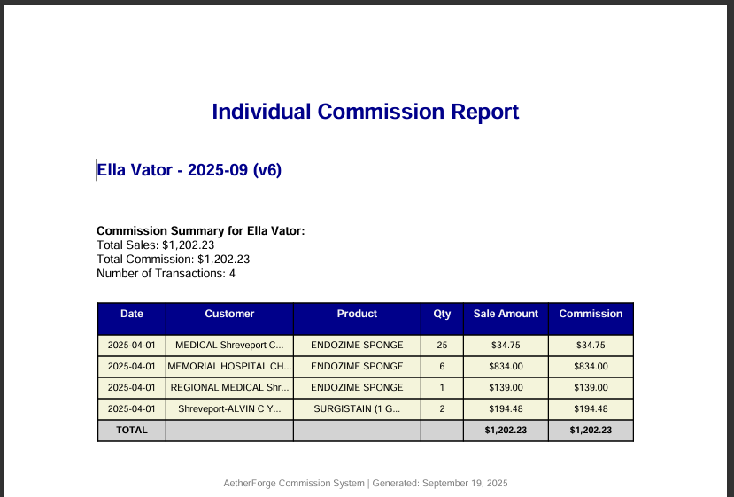 Individual Commission Report